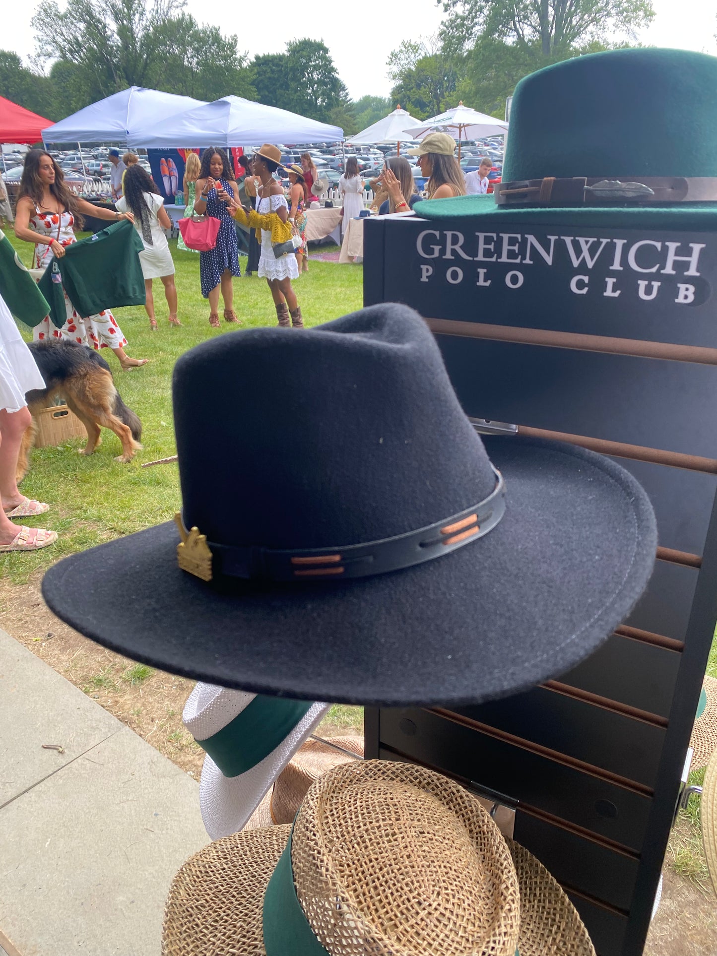 THE SHARPTAIL HAT