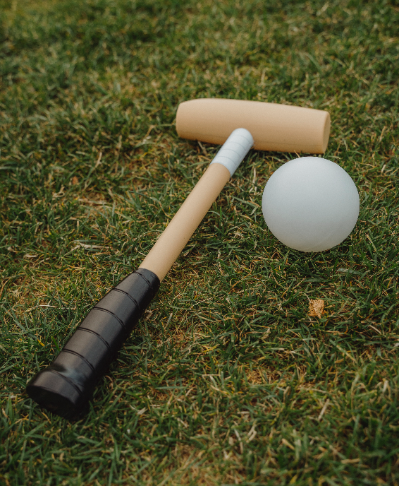Kids Mallet and Ball Set
