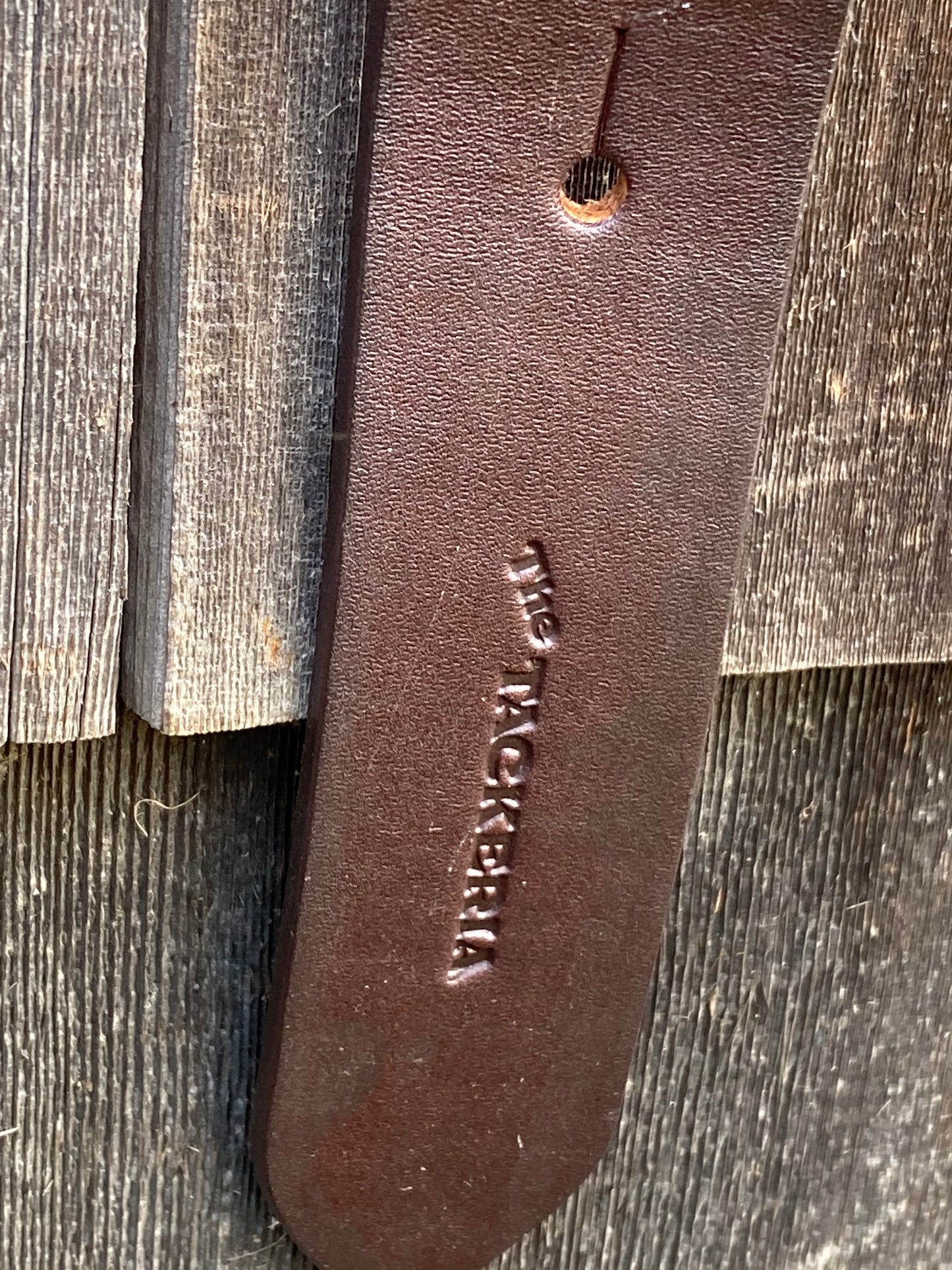 BELT Polo Belt by The Tackeria