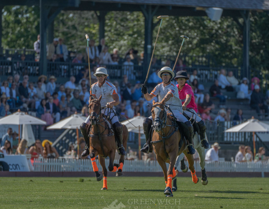 Join us for Polo Sunday!